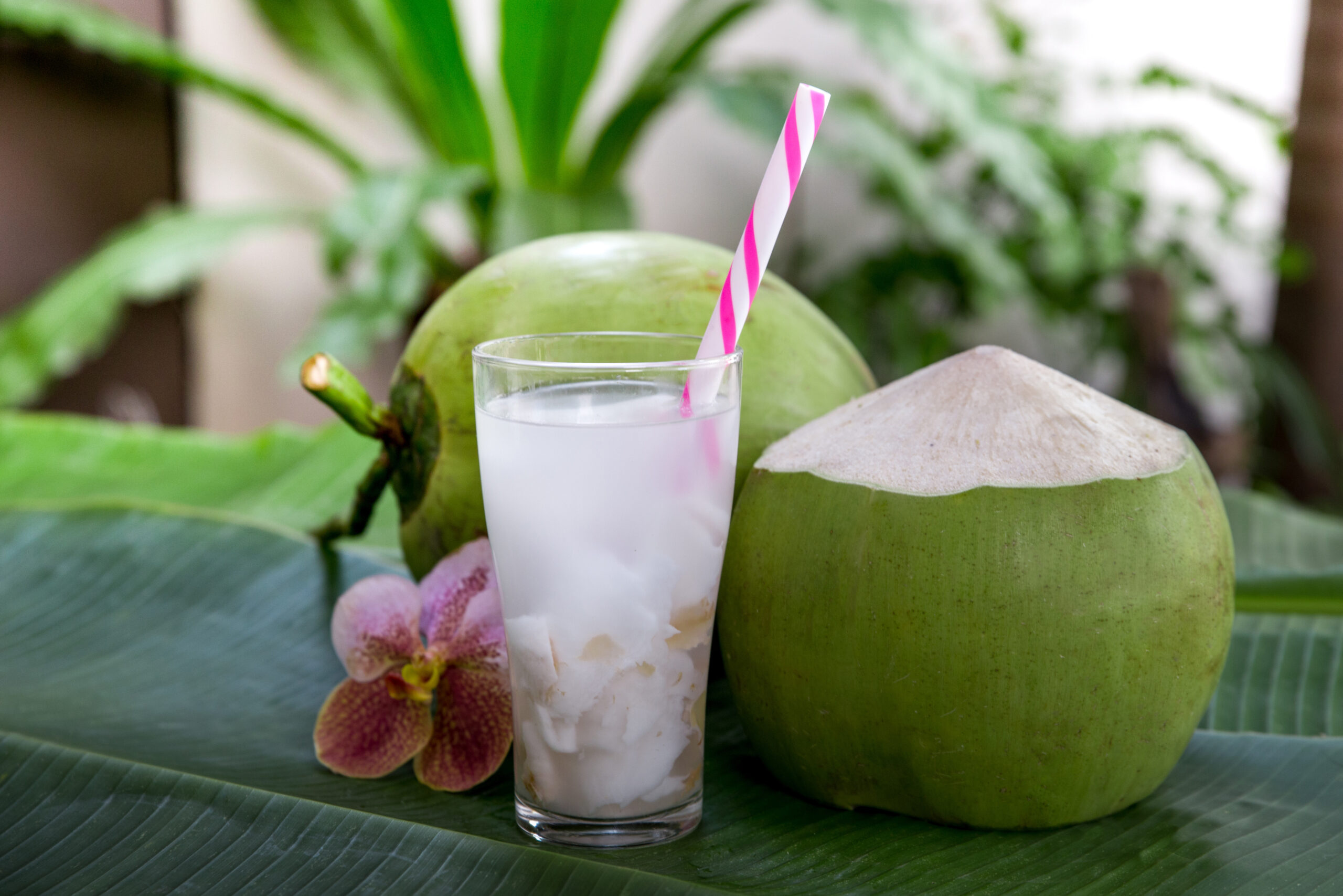 ປັ່ນໝາກພ້າວ Coconut Juice 椰子汁